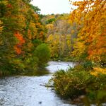 Indian Creek