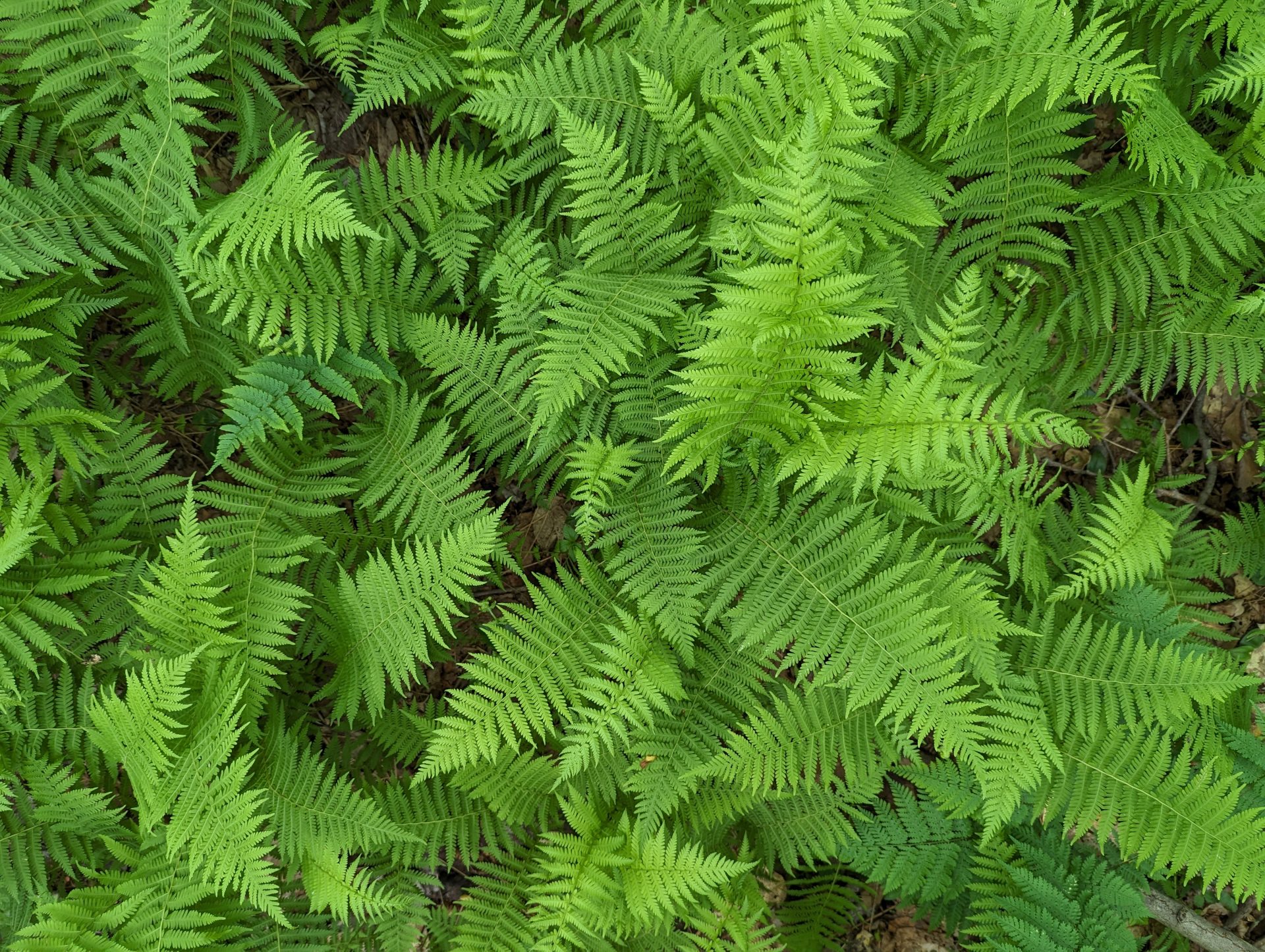 PXL_20240602_160103744