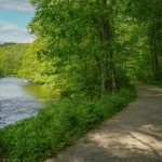 icv trail summer