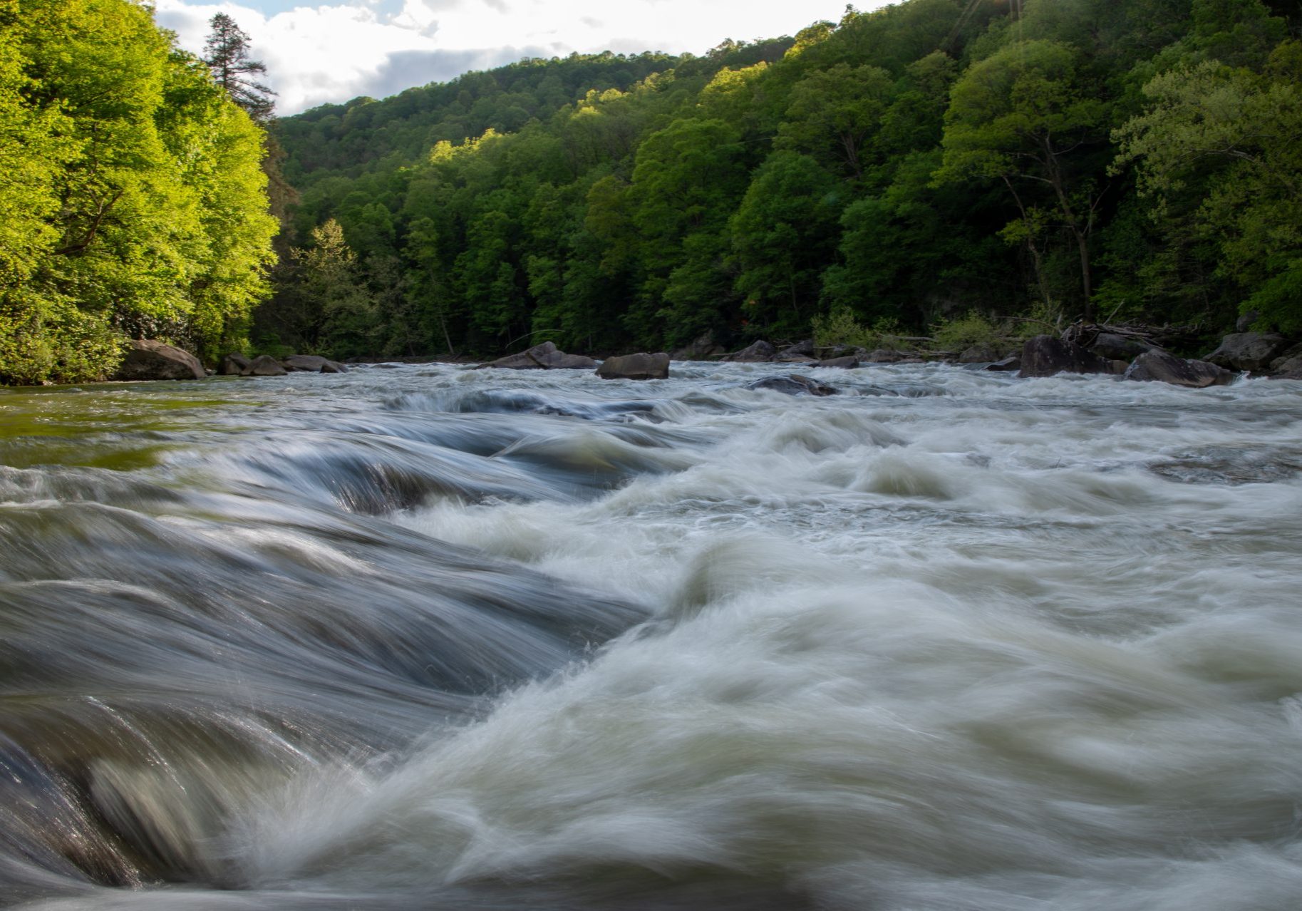 Lower Youghiogheny River in summer