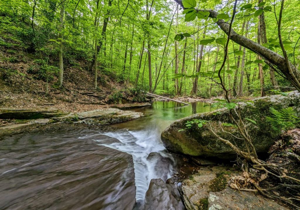 PXL_20230523_110614372.MOTION-01.COVER