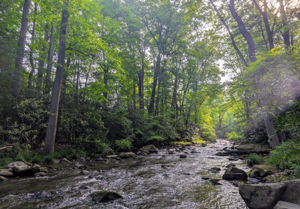 PXL_20250605_124955305